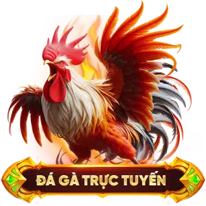 Đá gà trực tuyến