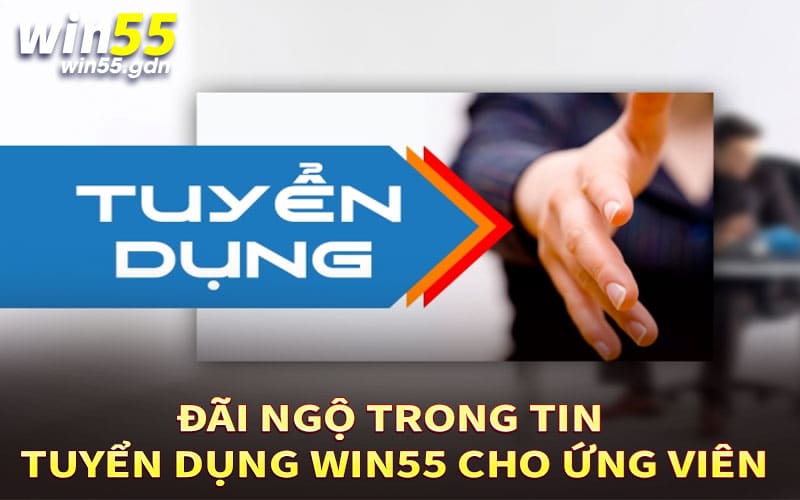 Đãi ngộ trong tin tuyển dụng Win55 cho ứng viên